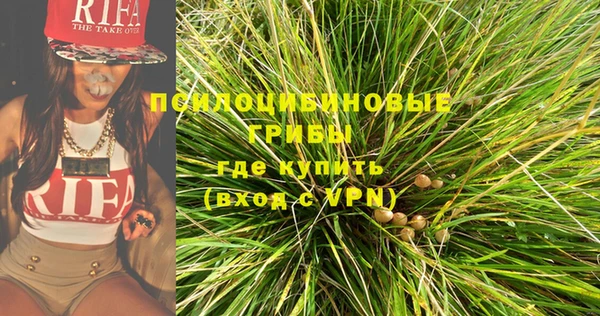 молекула духа Вязники