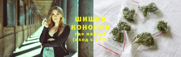 круглые Вязьма
