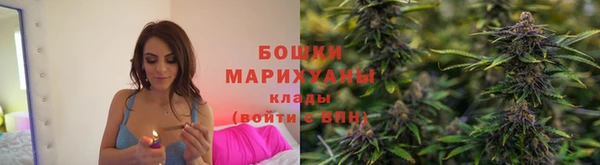 молекула духа Вязники