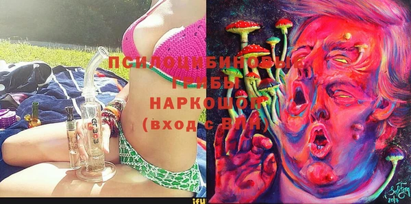 крисы Вяземский