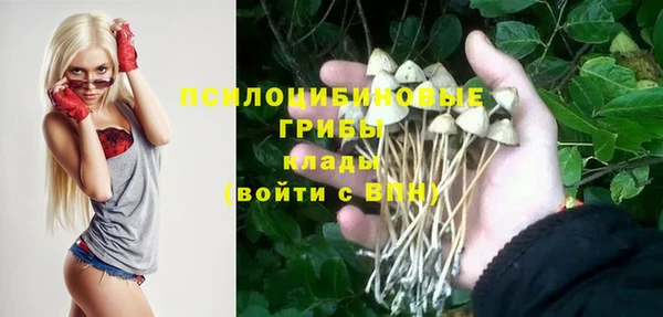 молекула духа Вязники