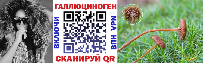 дарк нет Telegram  ОМГ ОМГ tor  Ивдель  Галлюциногенные грибы прущие грибы 
